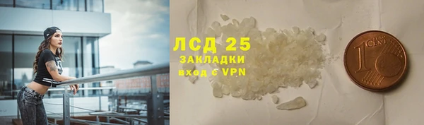 ГАЛЛЮЦИНОГЕННЫЕ ГРИБЫ Балабаново