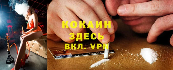 ГАЛЛЮЦИНОГЕННЫЕ ГРИБЫ Балабаново