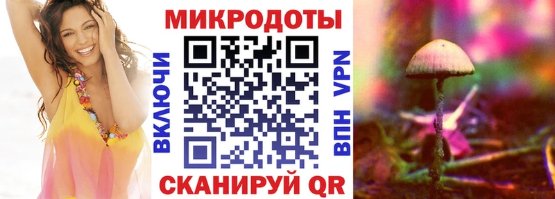 как найти   блэк спрут рабочий сайт  Псилоцибиновые грибы прущие грибы  Новая Ляля 